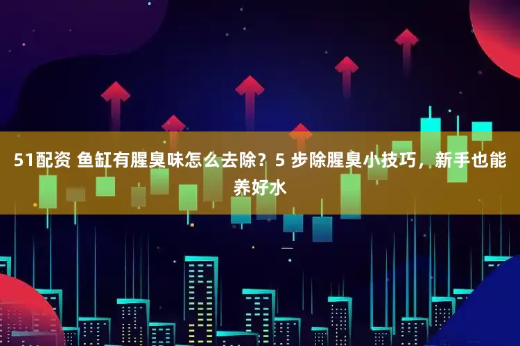 51配资 鱼缸有腥臭味怎么去除？5 步除腥臭小技巧，新手也能养好水